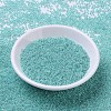 MIYUKI Round Rocailles Beads X-SEED-G007-RR0536-2