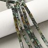 Natural African Turquoise(Jasper) Beads Strands G-G837-02-5