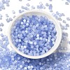 Glass Seed Beads SEED-H002-D-A814-2