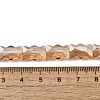 Electroplate Glass Beads Strands EGLA-L045-F-PL04-4