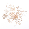 Iron Earring Hooks IFIN-T001-05KC-1