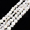 Natural Trochid Shell/Trochus Shell Beads Strands SSHEL-N032-48-B01-1