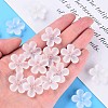 Transparent Acrylic Beads MACR-S373-116-D01-6