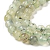 Natural Prehnite Beads Strands G-S333-6mm-032-5