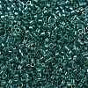 MIYUKI Delica Beads SEED-J020-DB0919-3