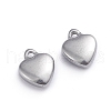 Non-Tarnish 304 Stainless Steel Charms STAS-G236-01P-B-2