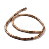 Natural Picture Jasper Beads Strands G-D464-13-3