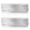 SUNNYCLUE 2 Rolls Matte Aluminum Wire AW-SC0001-01-1