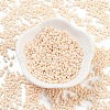 Baking Paint Glass Seed Beads X1-SEED-A033-05A-2