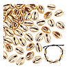 Electroplated Shell Beads BSHE-PH0003-22A-6