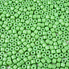 Opaque Baking Paint Glass Seed Beads SEED-T008-02Q-3