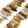 Natural Botswana Agate Beads Strands G-L551B-15-1