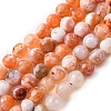Faceted Natural Fire Crackle Agate Beads Strands G-F447-6mm-B03-2
