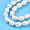 Natural Cultured Freshwater Pearl Beads Strands PEAR-N012-05Z-01-4