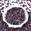 Baking Paint Glass Seed Beads SEED-N008-06G-2