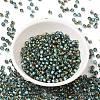Glass Seed Beads SEED-H002-B-D222-2