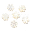 Natural Trochid Shell/Trochus Shell Beads SSHEL-R145-07-1