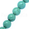Natural Howlite Beads Strands TURQ-P027-32-12mm-1