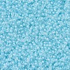 MIYUKI Round Rocailles Beads SEED-G007-RR0220-3