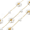 Handmade 304 Stainless Steel Beaded Chains CHS-L031-08G-02-1