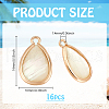   16Pcs Natural Paua Shell & Brass Teardrop Charms FIND-PH0022-59-2