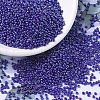 MIYUKI Round Rocailles Beads X-SEED-G007-RR0484-4