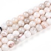 Natural Persian Jade Beads Strands G-A255-A02-01K-4
