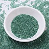 MIYUKI Delica Beads SEED-J020-DB0060-2