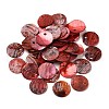 Spray Painted Natural Akoya Shell Charms SHEL-F007-15A-2