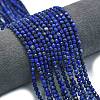 Natural Lapis Lazuli Dyed Beads Strands G-A260-A33-01-1