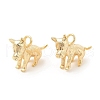 Brass Charms KK-G447-13G-2