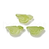 Transparent Glass Beads DGLA-E004-13F-1
