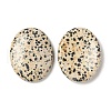 Mother's Day Gifts Natural Dalmatian Jasper Worry Stone for Anxiety Therapy G-B036-01J-2