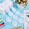 Polyester Lace Ribbons OCOR-WH0082-213A-4