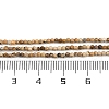 Natural Picture Jasper Beads Strands G-P572-B03-2mm-5