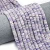 Natural Lepidolite/Purple Mica Stone Beads Strands G-P575-B24-6x1mm-1