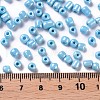 6/0 Glass Seed Beads SEED-US0003-4mm-123-3