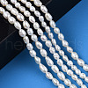 Natural Cultured Freshwater Pearl Beads Strands X1-PEAR-N012-03D-6