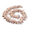 Natural Spiral Shell Beads Strands X-BSHE-I016-08-2