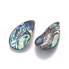 Natural Abalone Shell/Paua Shell Pendants SSHEL-F303-04-2