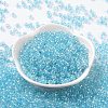6/0 Glass Seed Beads SEED-T006-04F-03-2