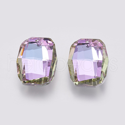 K9 Glass Rhinestone Pendants GLAA-K034-F04-1