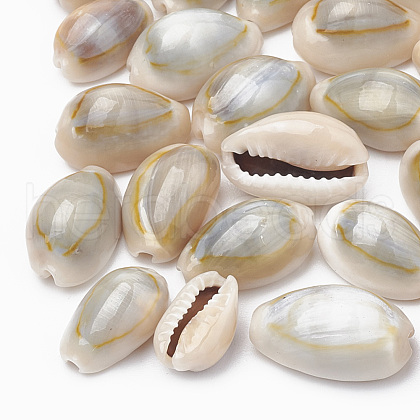 Cowrie Shell Beads SSHEL-T004-05-1