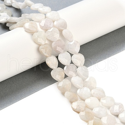 Natural Rainbow Moonstone Beads Strands G-G118-A01-01-1