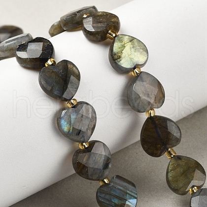 Natural Labradorite Beads Strands G-B044-B21-01-1