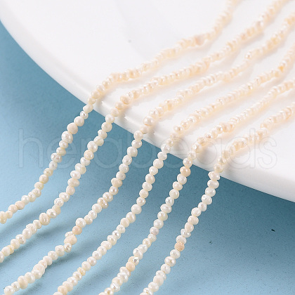 Natural Cultured Freshwater Pearl Beads Strands PEAR-S016-001-1