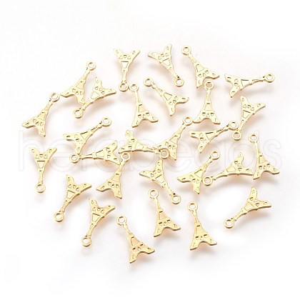 304 Stainless Steel Charms STAS-E447-15G-1