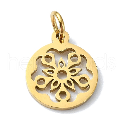 304 Stainless Steel Charms STAS-C097-46G-05-1