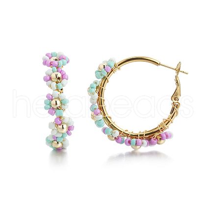 201 Stainless Steel Acrylic Hoop Earrings FS-WG443EA-07-1