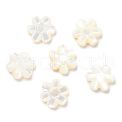 Natural Trochid Shell/Trochus Shell Beads SSHEL-R145-07-1